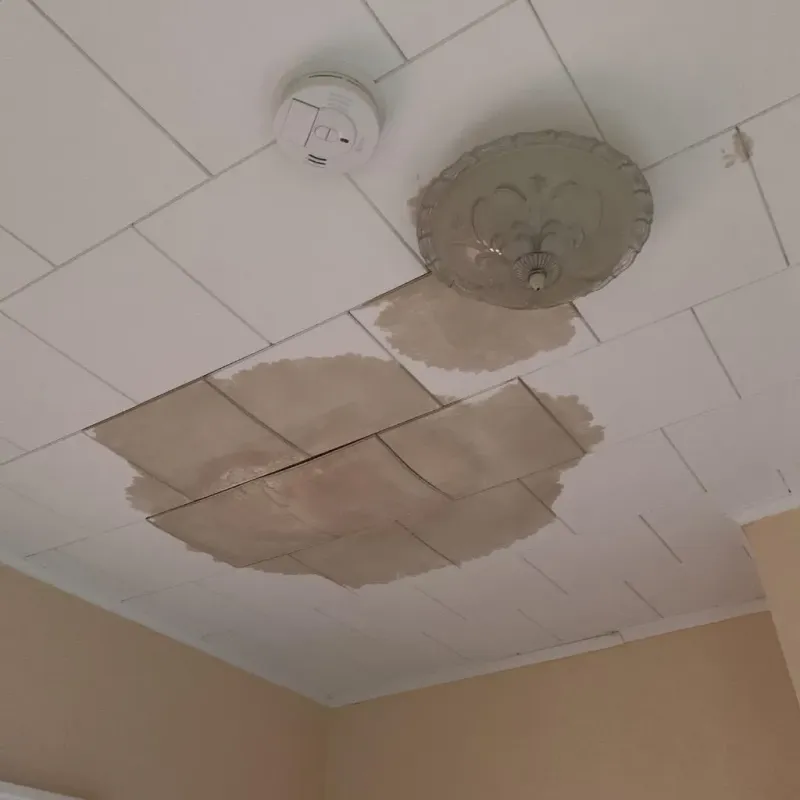 Ceiling Water Damage Repair in Struthers, OH