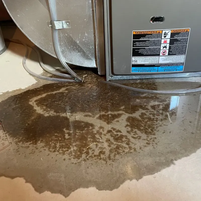 Pipe Burst and Leak Restoration in Struthers, OH