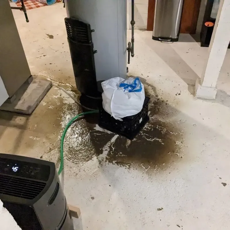 Sewage Backup Cleanup Service in Struthers, OH